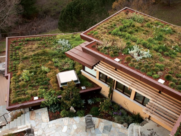 Atap datar dengan taman atap hijau